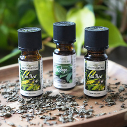 Tea tree essential oil natural Aroma Dream 10 ml