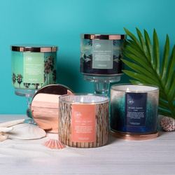 Colonial Candle Travel sojowa świeca zapachowa w szkle 3 knoty 14.5 oz 411 g - Cancun Cabana