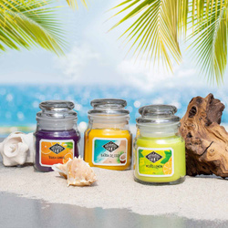 Zestaw świec zapachowych sojowych trzy sztuki 85 g Candle Brothers - Beach Bar