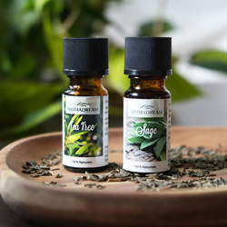 Tea tree essential oil natural Aroma Dream 10 ml